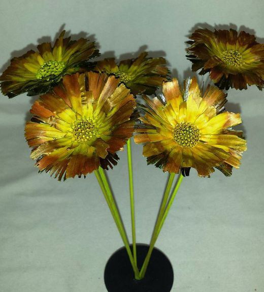 Proteas Naturales Secas Basi 10 flores