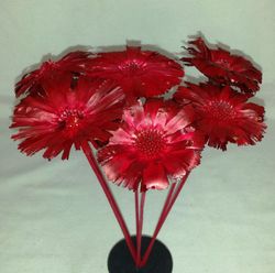 Proteas Naturales Secas Basi 10 flores