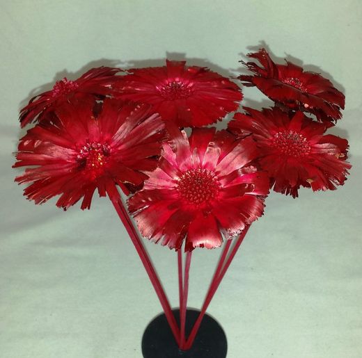 Proteas Naturales Secas Basi 10 flores