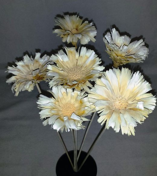 Proteas Naturales Secas Basi 10 flores