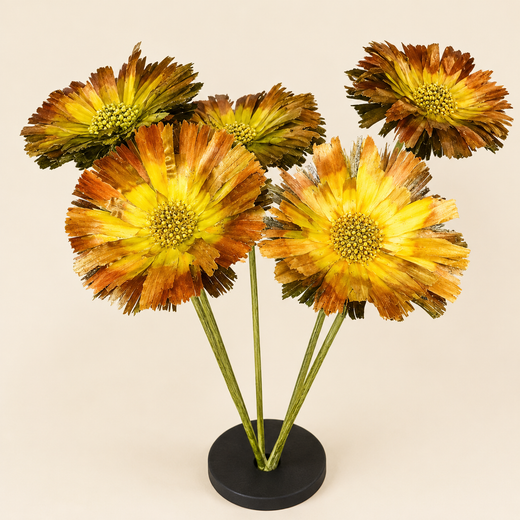 Protéas Basi séchées naturelles 10 fleurs
