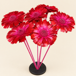 Proteas naturales secas Flores Frescas 10 flores