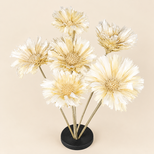 Proteas naturales secas Flores Frescas 10 flores
