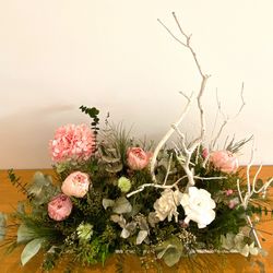 Protegir-te amb els meus branques