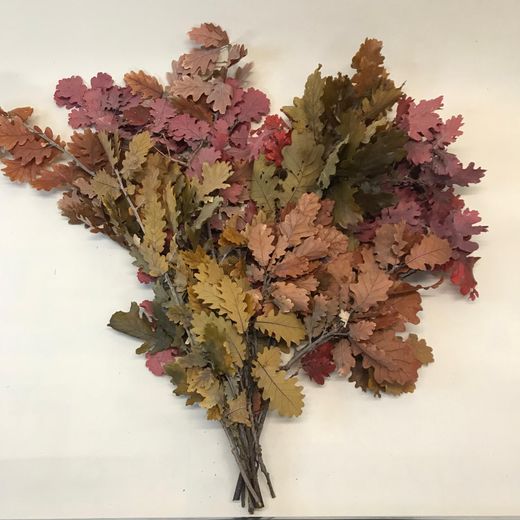 Quercus Otoñal Preservado