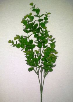 Ramas de Eucaliptus Artificial Caja 6 uds.