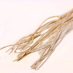 Ramas de Mitsumata Seca