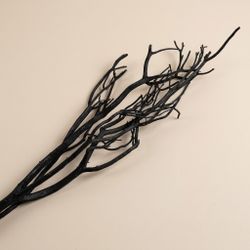 Branches de Mitsumata séchées