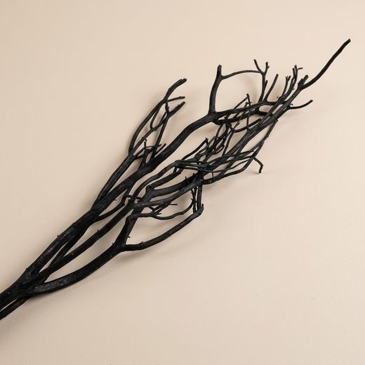 Branches de Mitsumata séchées