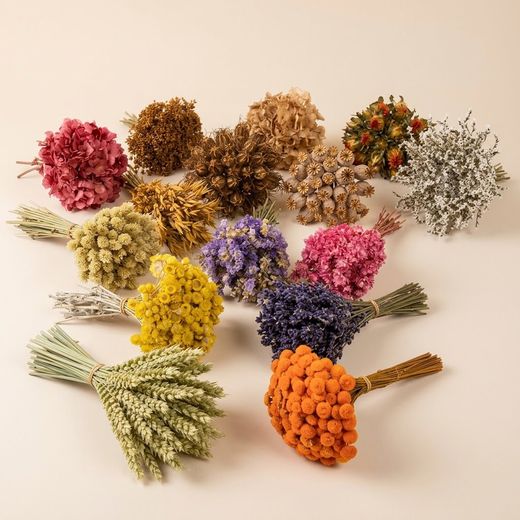 Bouquets de fleurs séchées assortis