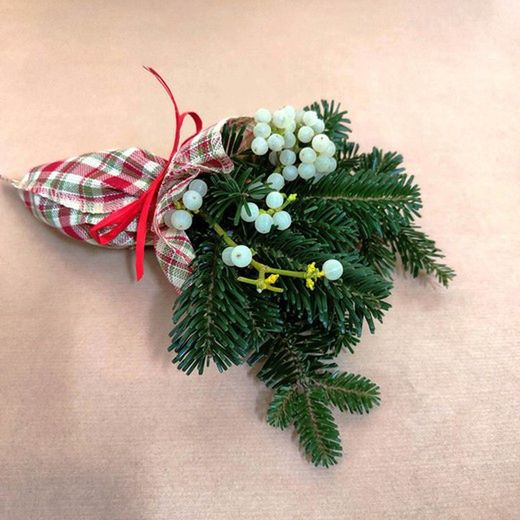 Ramito de Muérdago Premium Pack 5 uds.