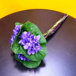 Ramito de Violetas