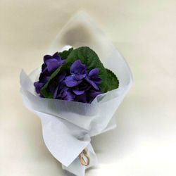 Ramito de Violetas