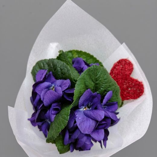 Ramet de Violetes Sant Valentí