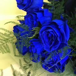 Ram Roses Blaus per Regalar