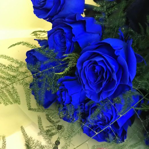 Ram Roses Blaus per Regalar