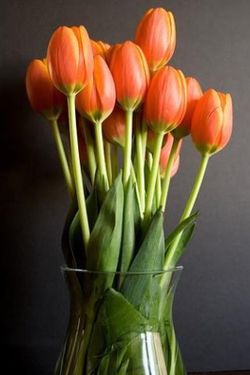 Ramo 30 Tulipanes Día de la Madre