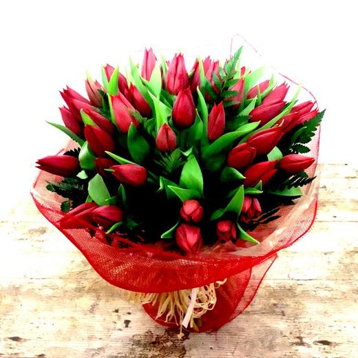 Ram 50 Tulipes Regal