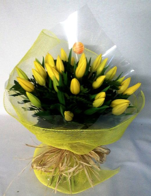 Ram 50 Tulipes Regal