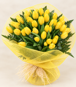 Ramo 50 Tulipanes Regalo