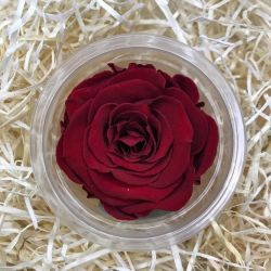 Ramo 6 Rosas Preservadas