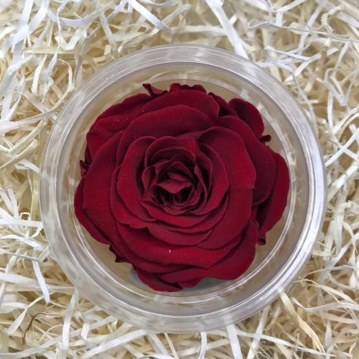 Ramo 6 Rosas Preservadas