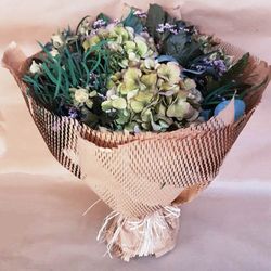 Ramo Airolo (No necessita aigua)