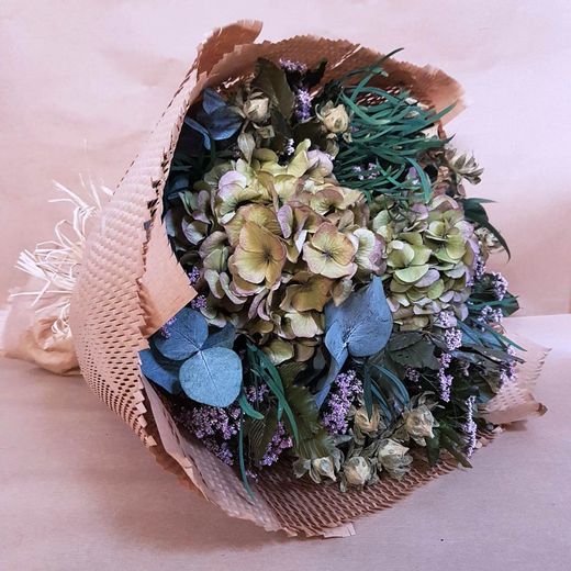 Ramo Airolo (No necessita aigua)