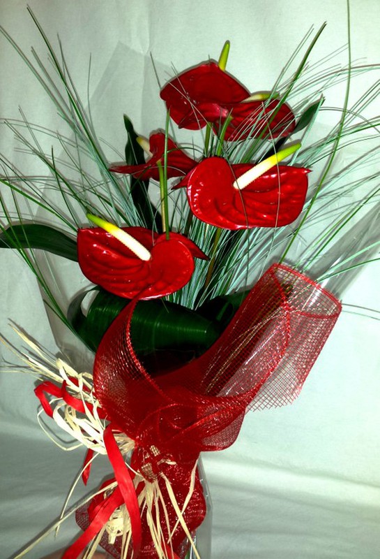 Buquê de antúrio vermelho — Flores Frescas Online