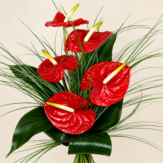 Bouquet d'anthuriums rouges