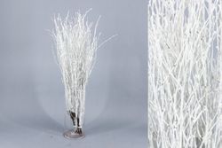 Ram de Bedoll Tenyit