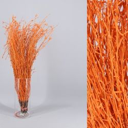 Ram de Bedoll Tenyit