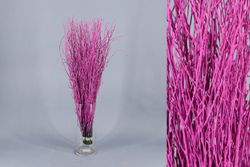 Ram de Bedoll Tenyit