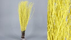 Ram de Bedoll Tenyit