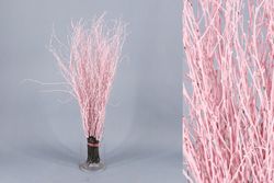 Ram de Bedoll Tenyit