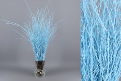 Ram de Bedoll Tenyit