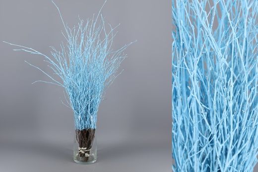 Ram de Bedoll Tenyit