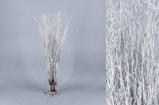 Ram de Bedoll Tenyit