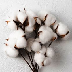 Ramo de Algodón Natural Extra Pack 4 varas