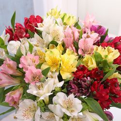 Ramo de Alstroemeria