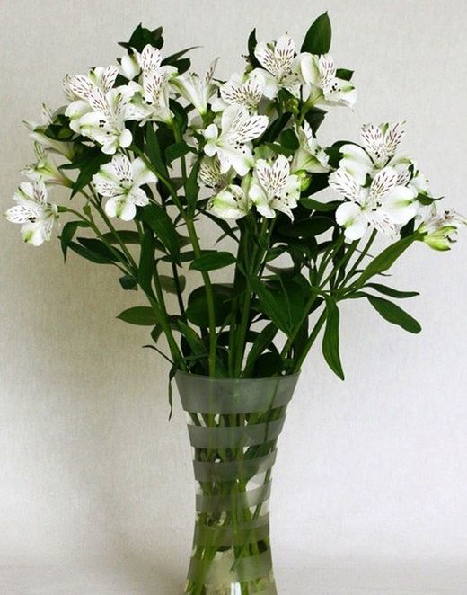 Ramo de Alstroemeria