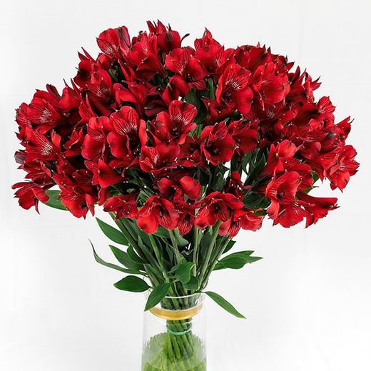 Ramo de Alstroemeria