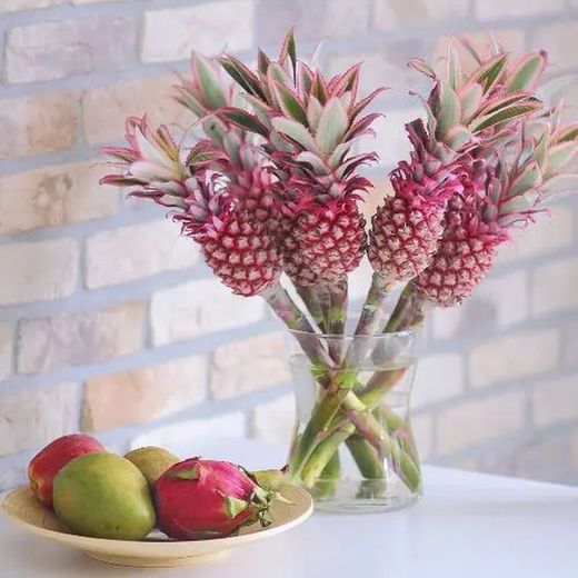 Ramo de Ananas