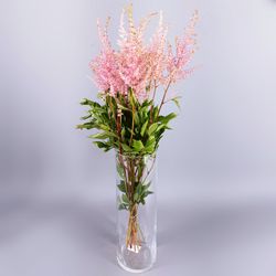 Ram de astilbe