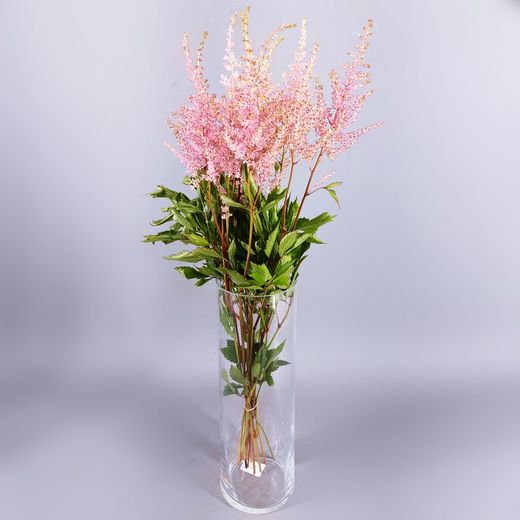 Ram de astilbe