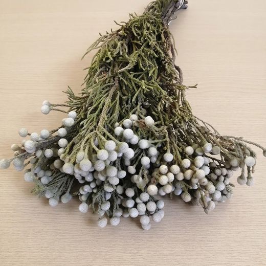 Bouquet de Brunia séché
