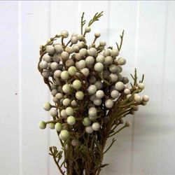 Brunia Bouquet de Prata