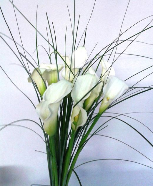 Ram de Callas amb Ós