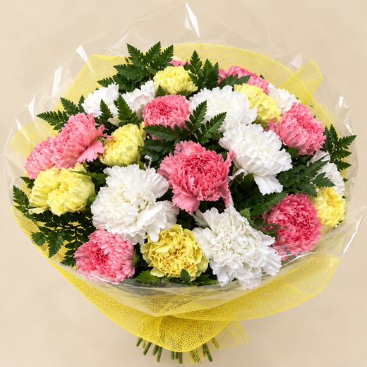 Bouquet d'œillets