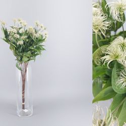 Bouquet de clématites